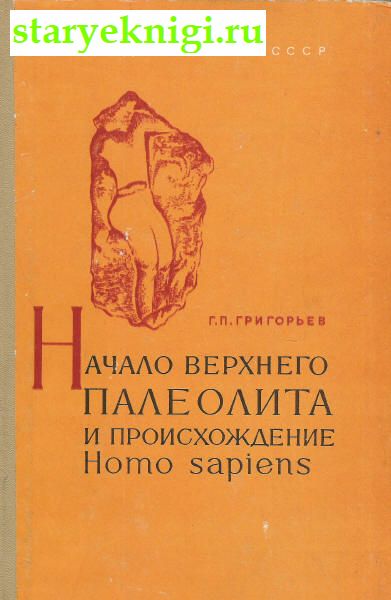      Homo sapiens,  - 