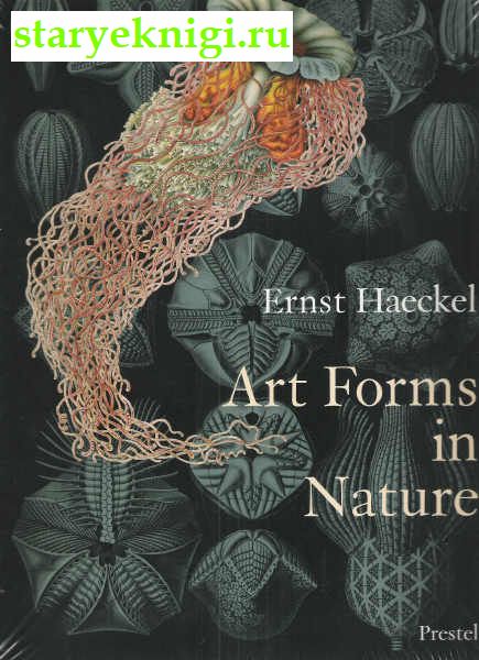 Art Forms in Nature: Prints of Ernst Haekel, , 