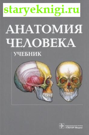 Анатомия человека. Учебник, Книги - Медицина /  Анатомия и физиология