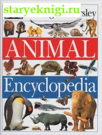 Animal Encyclopedia, Книги - Учебная, справочная литература /  Энциклопедии, справочники
