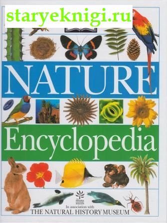 Nature Encyclopedia, Книги - Учебная, справочная литература /  Энциклопедии, справочники