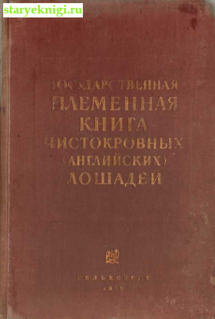     () ,  -   /    Academia (1922-1938)