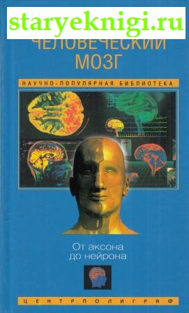 Человеческий мозг. От аксона до нейрона, Азимов Айзек, книга