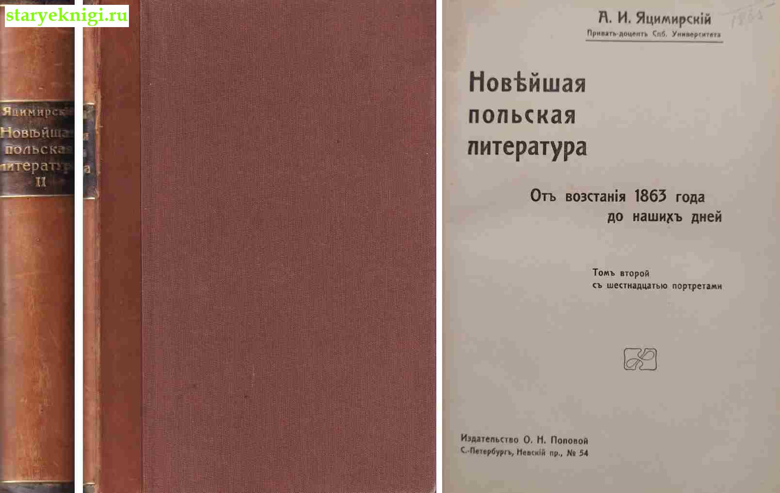 Новейшая польская литература. От восстания 1863 года до наших дней. Том 2, Яцимирский  А.И., книга