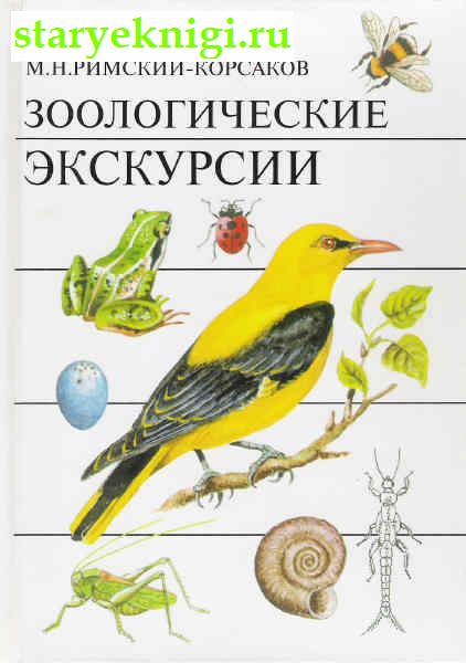 Зоологические экскурсии, Книги - Наука и техника /  Биологические науки