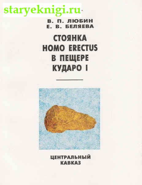  homo erectus    1.  ,  -  /  , 